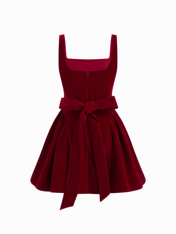 Valentina Velvet Mini Dress