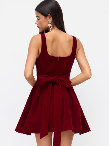 Valentina Velvet Mini Dress