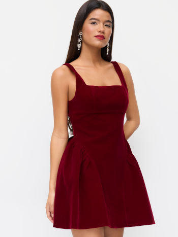 Valentina Velvet Mini Dress